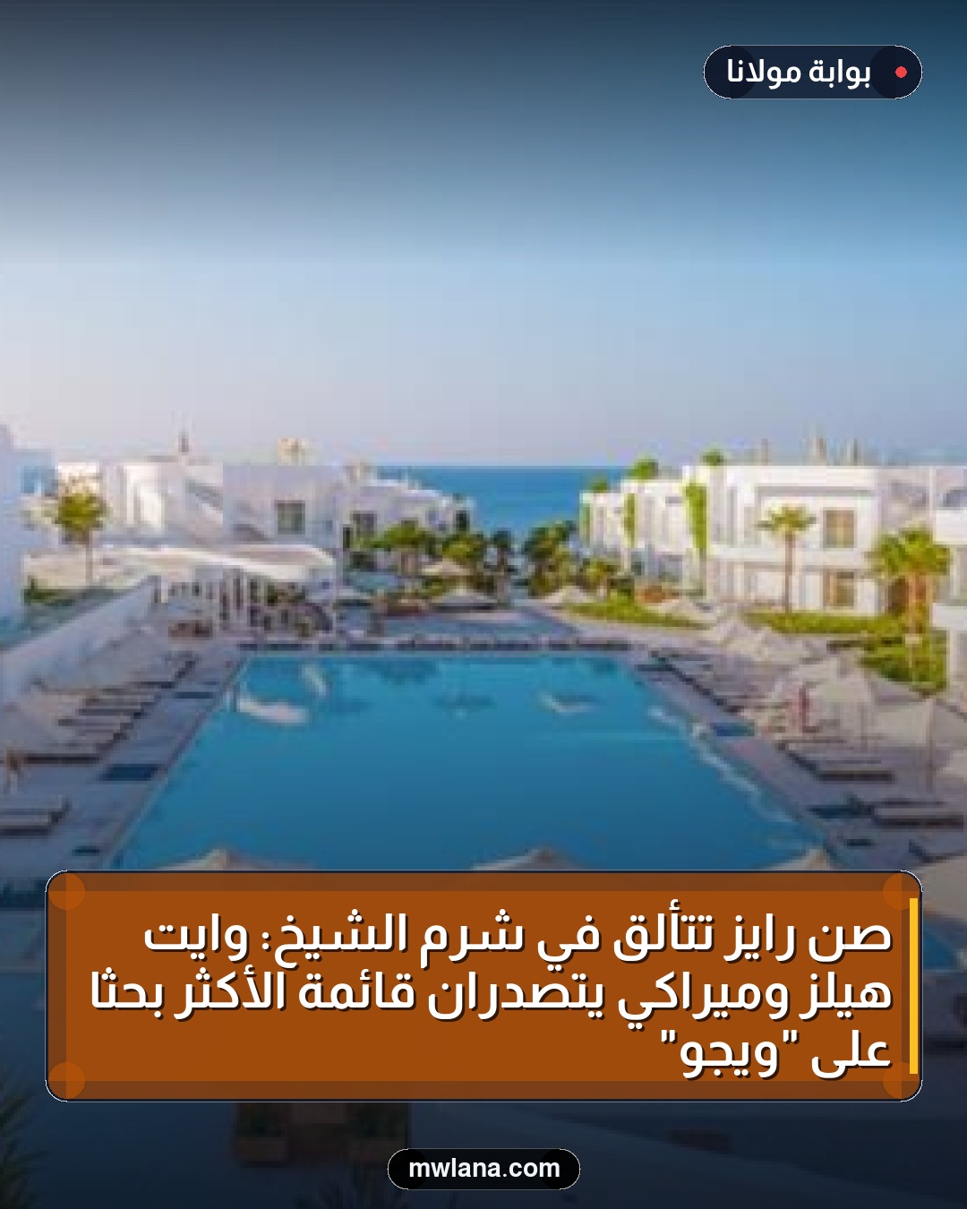 صن رايز تتألق في شرم الشيخ: وايت هيلز وميراكي يتصدران قائمة الأكثر بحثًا على "ويجو"