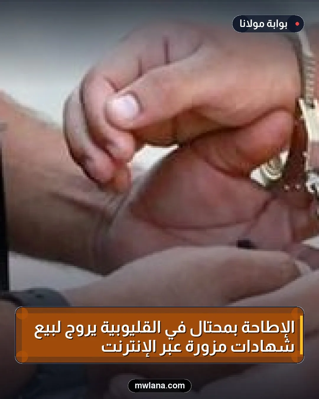 الإطاحة بمحتال في القليوبية يروّج لبيع شهادات مزوّرة عبر الإنترنت
