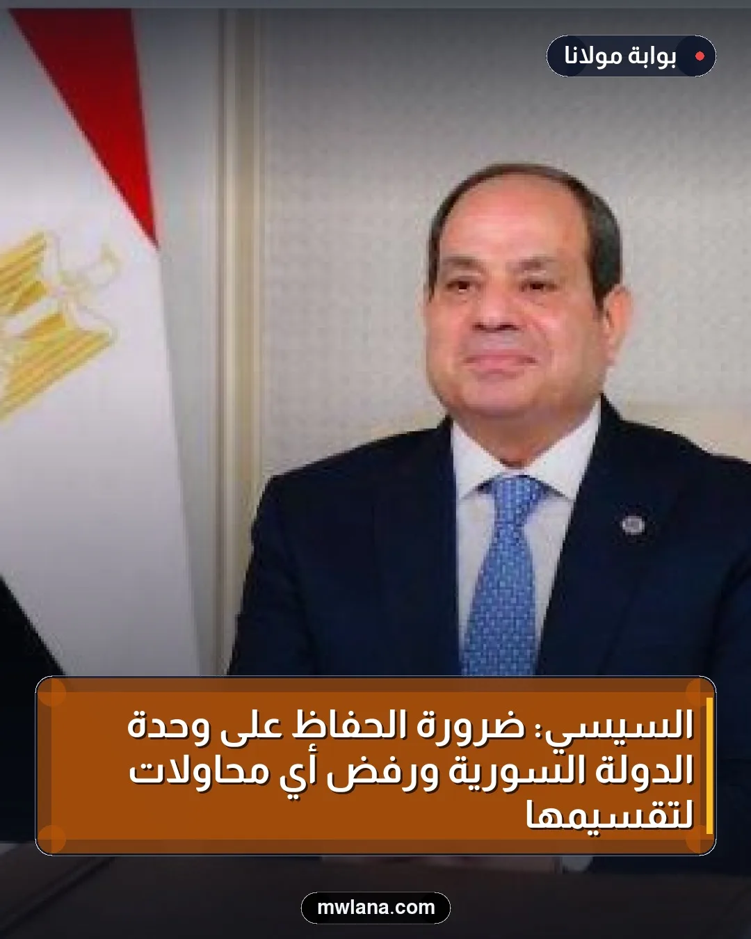 السيسي: ضرورة الحفاظ على وحدة الدولة السورية ورفض أي محاولات لتقسيمها