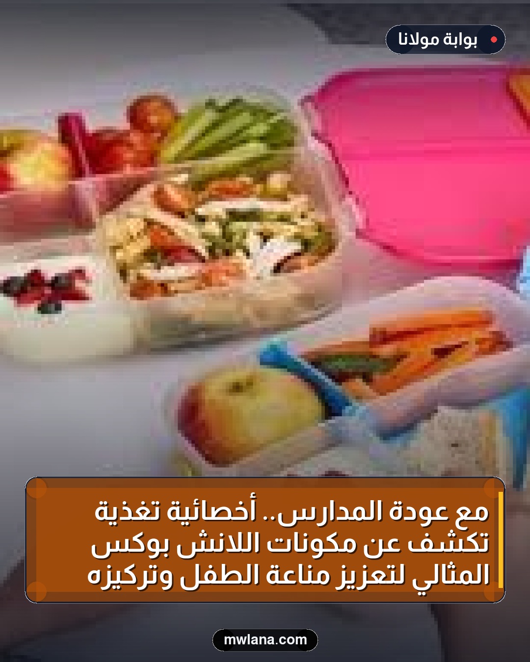 مع عودة المدارس.. أخصائية تغذية تكشف عن مكونات اللانش بوكس المثالي لتعزيز مناعة الطفل وتركيزه