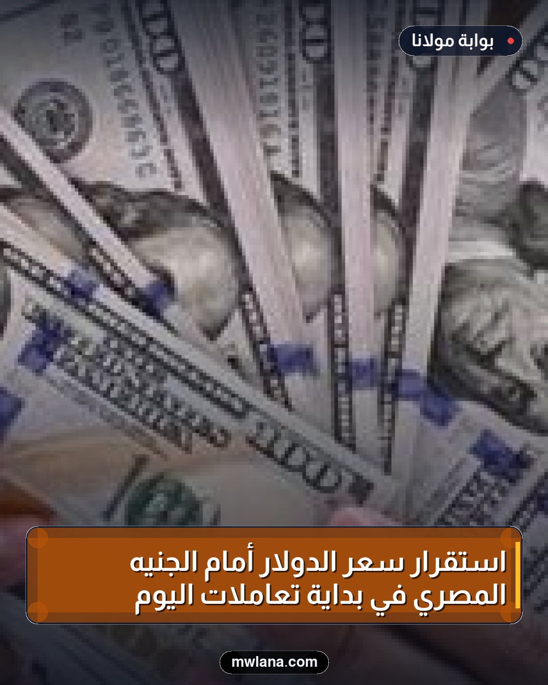 استقرار سعر الدولار أمام الجنيه المصري في بداية تعاملات اليوم
