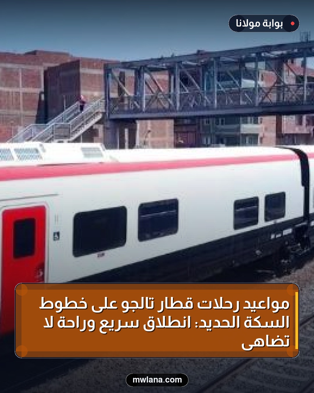 مواعيد رحلات قطار تالجو على خطوط السكة الحديد: انطلاق سريع وراحة لا تضاهى