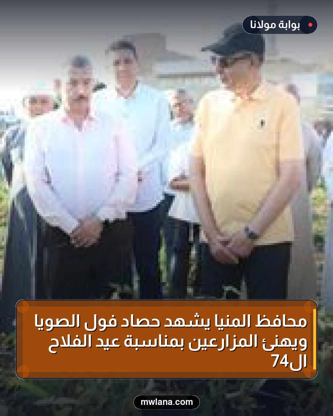 محافظ المنيا يشهد حصاد فول الصويا ويهنئ المزارعين بمناسبة عيد الفلاح الـ74