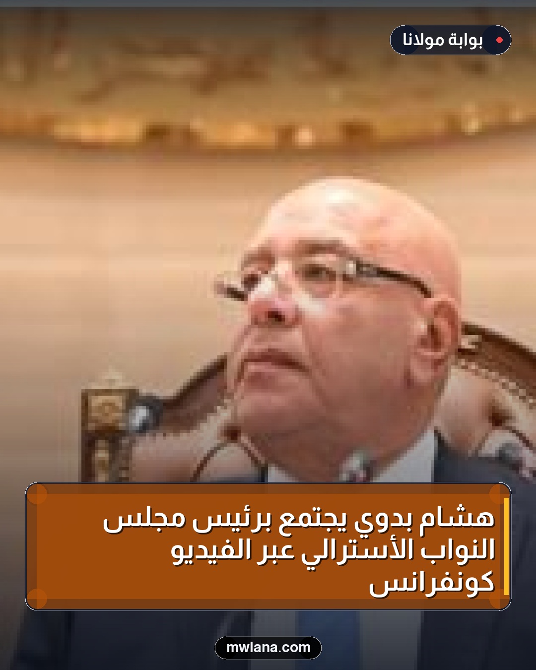هشام بدوي يجتمع برئيس مجلس النواب الأسترالي عبر الفيديو كونفرانس