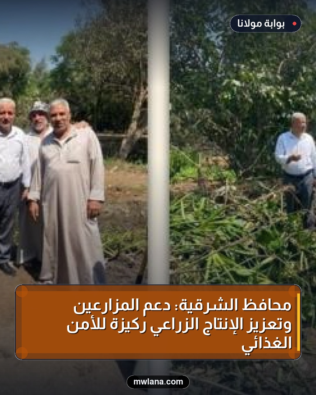 محافظ الشرقية: دعم المزارعين وتعزيز الإنتاج الزراعي ركيزة للأمن الغذائي