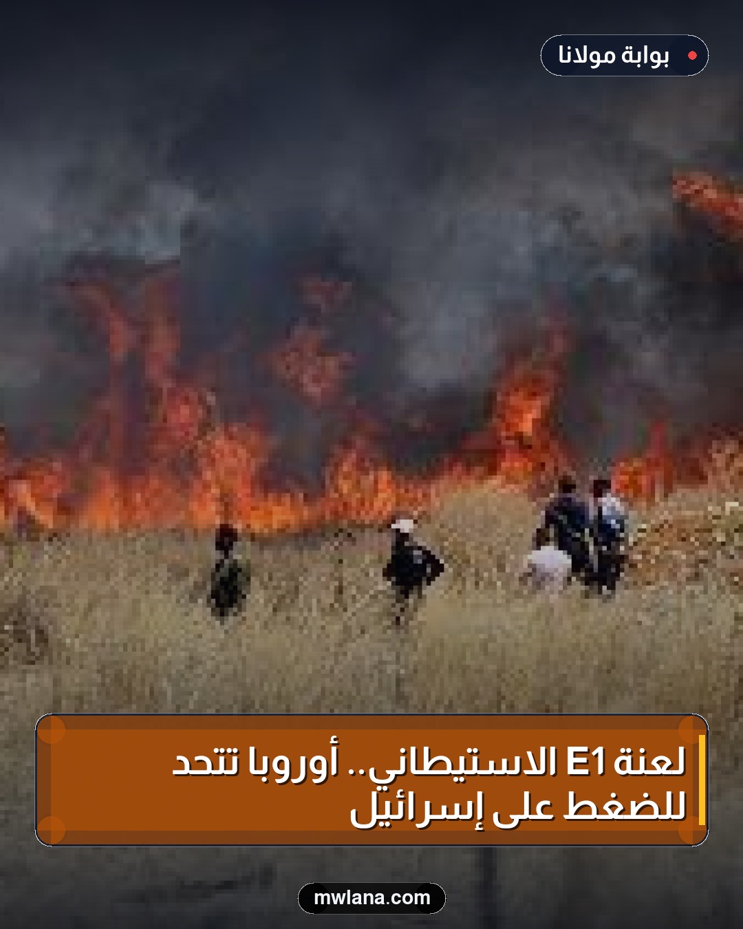 لعنة E1 الاستيطاني.. أوروبا تتحد للضغط على إسرائيل
