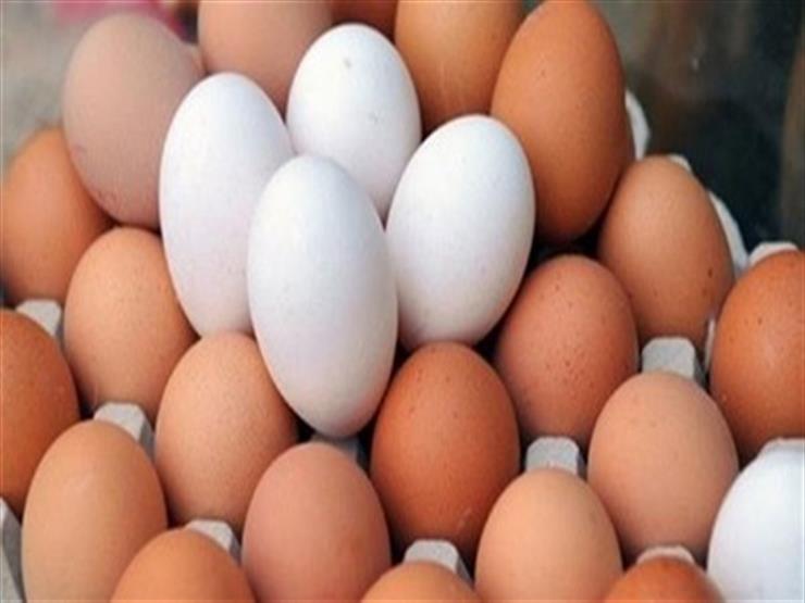 سعر طبق البيض