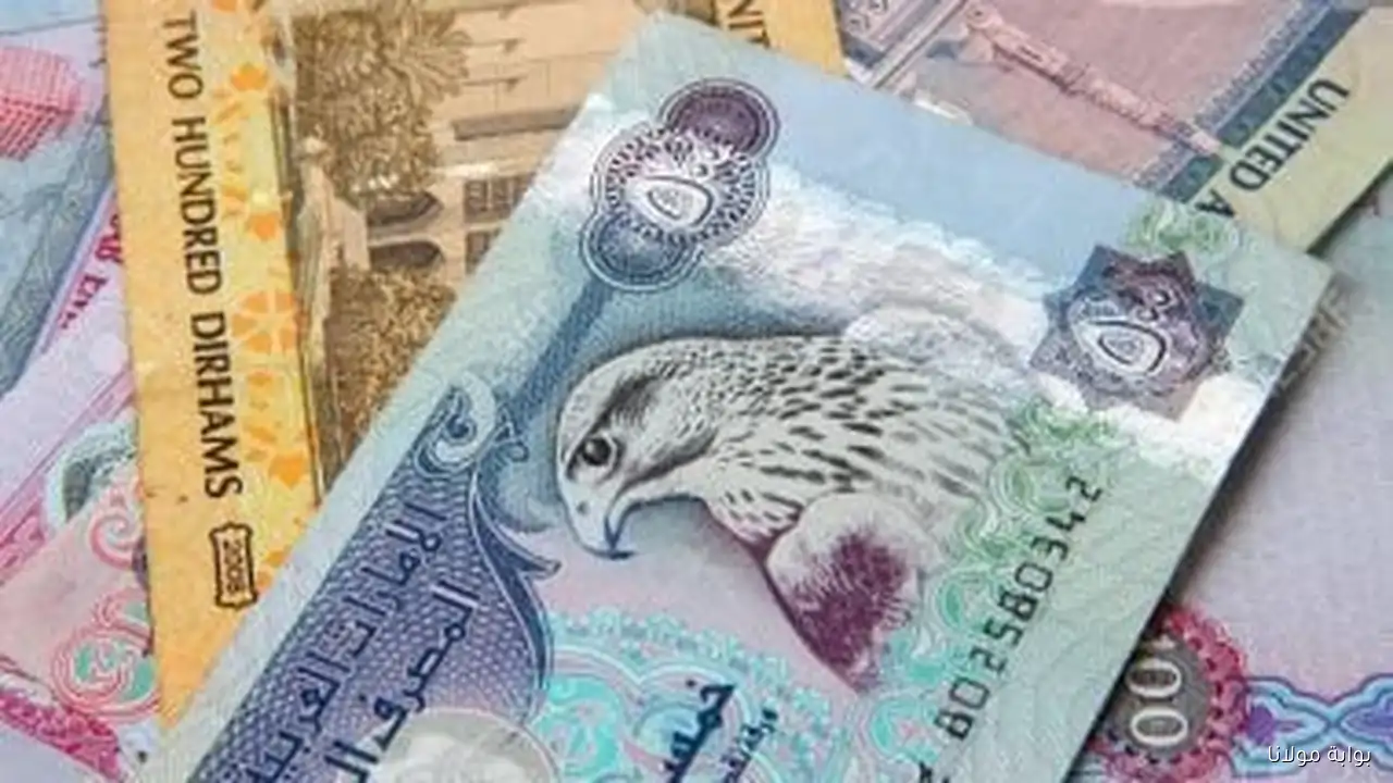 سعر الدرهم الإماراتي اليوم الجمعة 12 سبتمبر 2025 يسجل 13.09 في البنك الأهلي