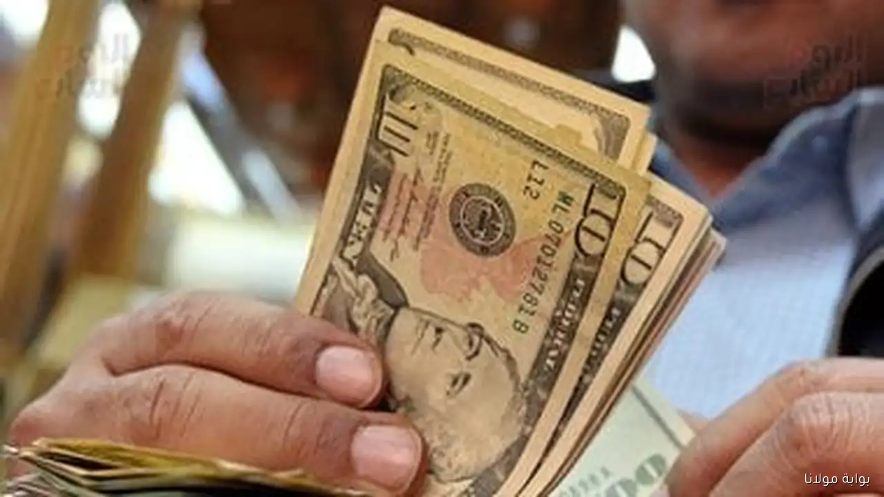 سعر الدولار اليوم السبت 13 سبتمبر 2025 في البنوك المصرية: آخر التحديثات