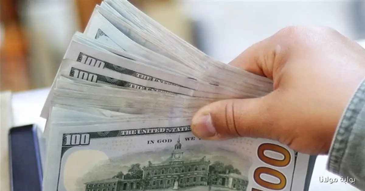 بكام سعر الدولار في البنك المركزي اليوم السبت 13 سبتمبر 2025