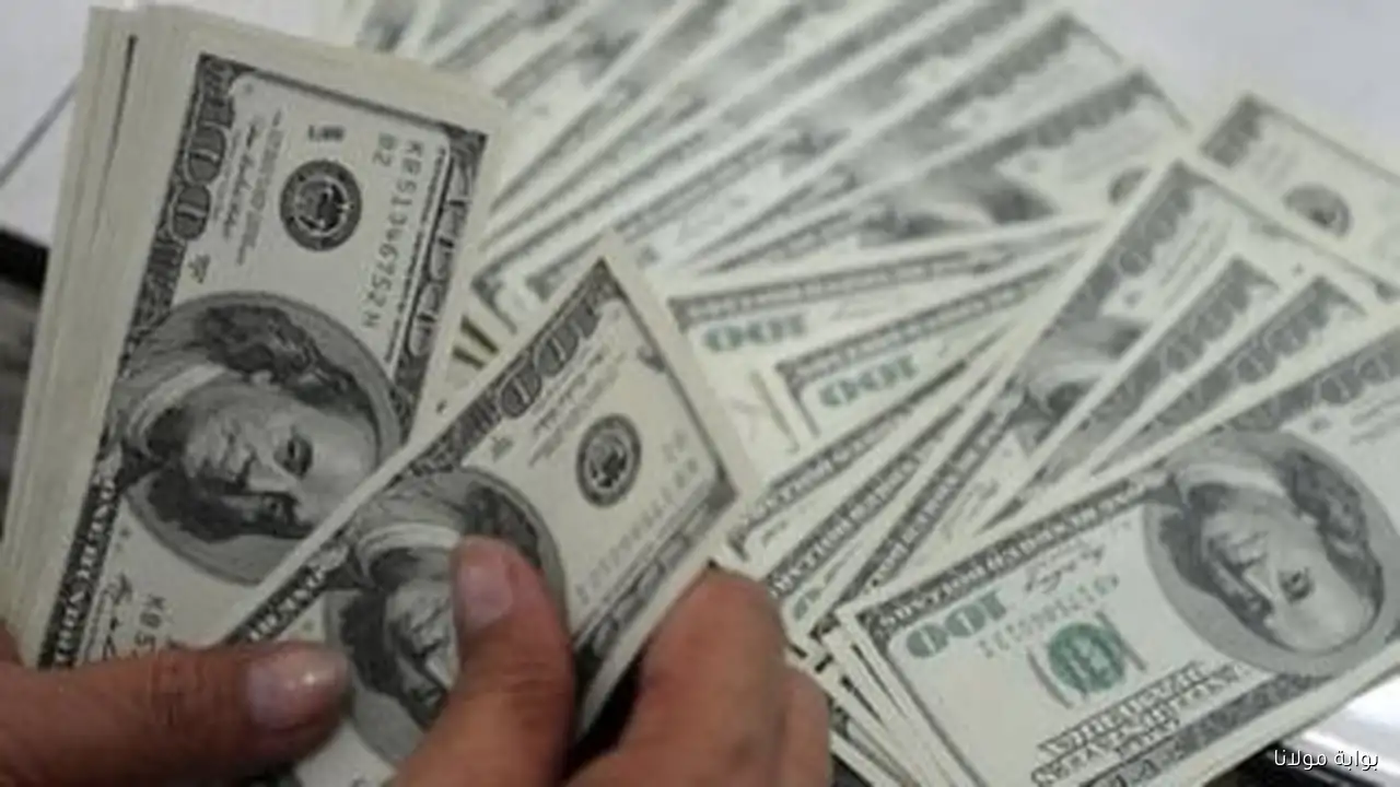 استقرار سعر الدولار اليوم السبت 13 سبتمبر 2025 بعد انخفاضه بمقدار 38 قرشًا الأسبوع الماضي