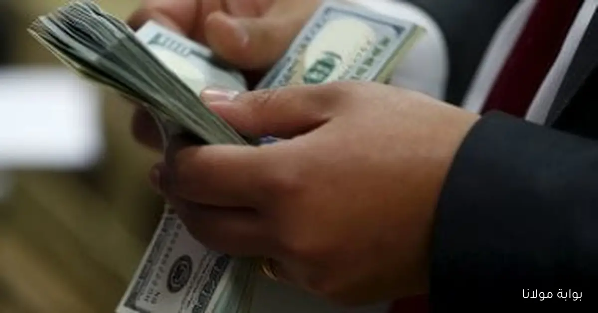 سعر الدولار اليوم السبت 13 سبتمبر 2025 يصل إلى 48.13 جنيه في البنك المركزي