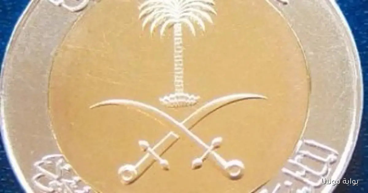 استقرار سعر الريال السعودي اليوم السبت 13 سبتمبر 2025 عند 12.82 جنيه للشراء