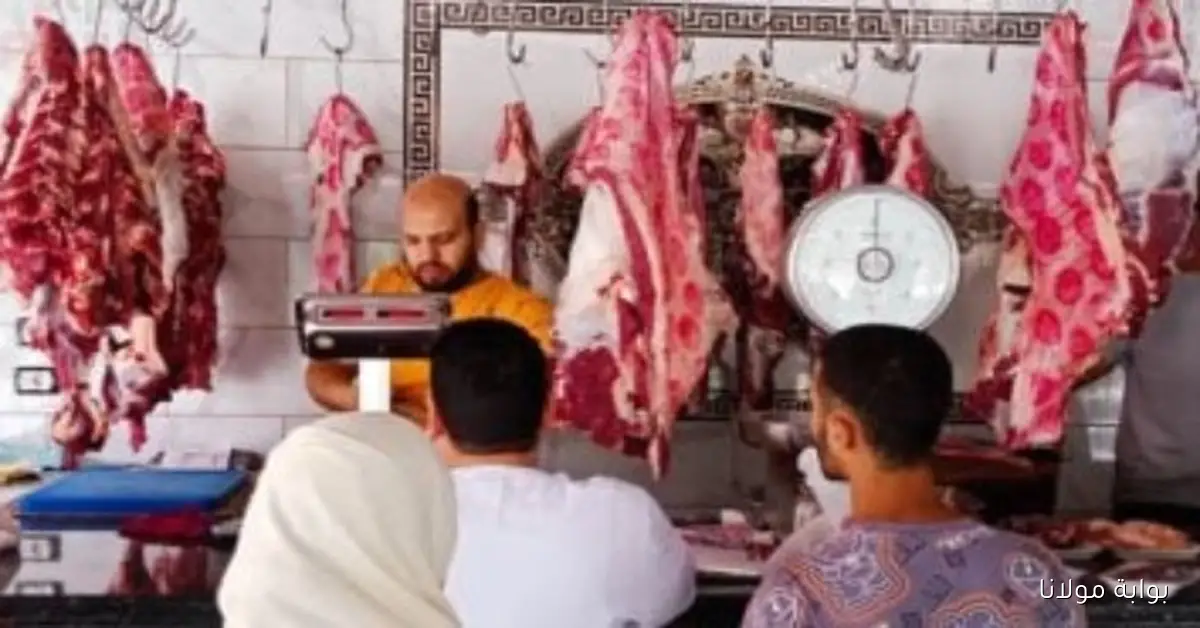 أسعار اللحوم المحلية والمستوردة في الأسواق اليوم الأربعاء 17 سبتمبر 2025