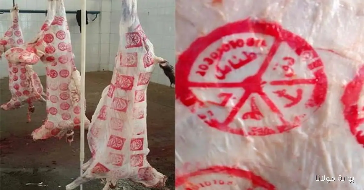 تحديثات أسعار اللحوم المحلية والمستوردة ليوم الجمعة 19 سبتمبر 2025