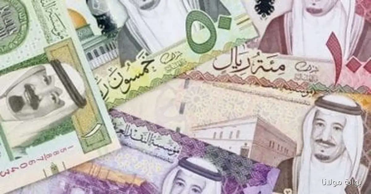 تحديث أسعار الريال السعودي اليوم الجمعة 19 سبتمبر 2025: متوسط الشراء يصل إلى 12.83 جنيه