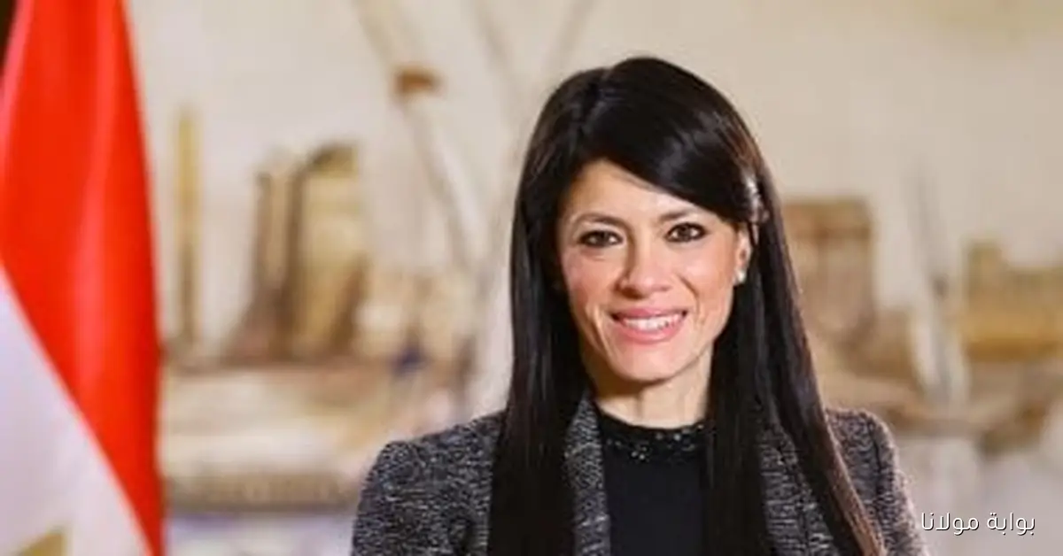 حصاد أنشطة وزارة التخطيط خلال الأسبوع يبرز الجهود والفعاليات المميزة