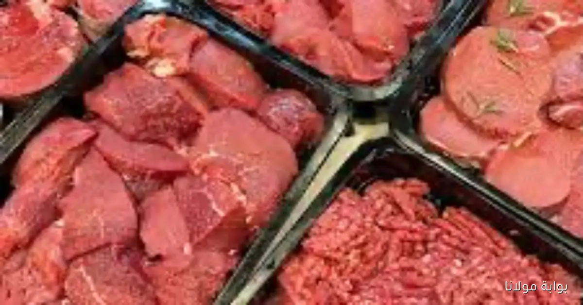تحديث أسعار اللحوم البلدي والمستوردة ليوم الأربعاء 24 سبتمبر 2025