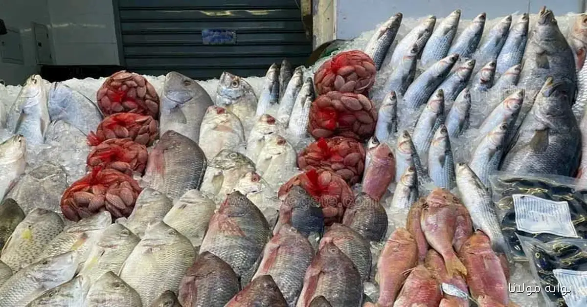 تراجع أسعار الكابوريا وتأثيره على سوق الأسماك والأكلات البحرية في العبور