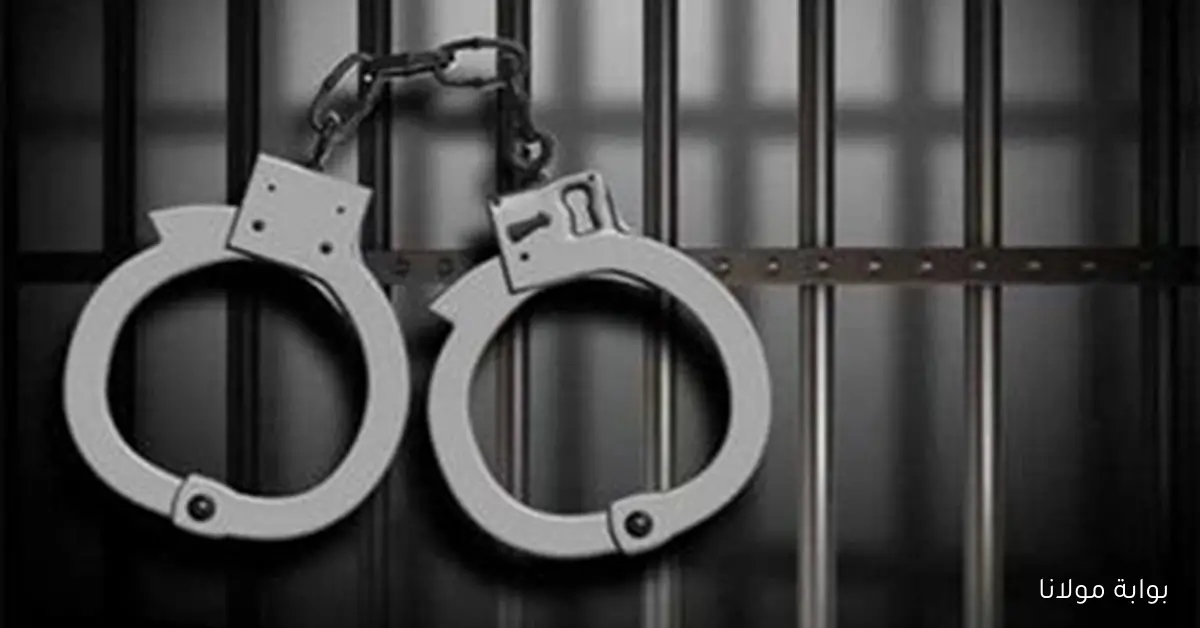 نجاح أمني في إحباط تهريب 234 كجم من المخدرات وضبط 12 متورطًا في عدة مناطق