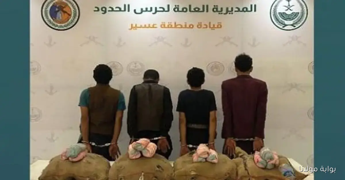 ضبط كميات كبيرة من القات والحشيش في عسير وجازان على يد حرس الحدود