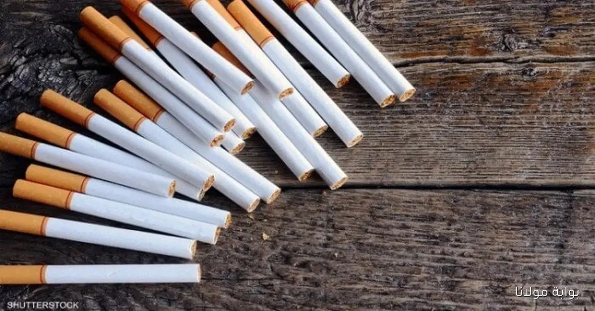 أسعار سجائر كليوباترا اليوم الثلاثاء 30 سبتمبر 2025 وكل أنواع السجائر الآخري