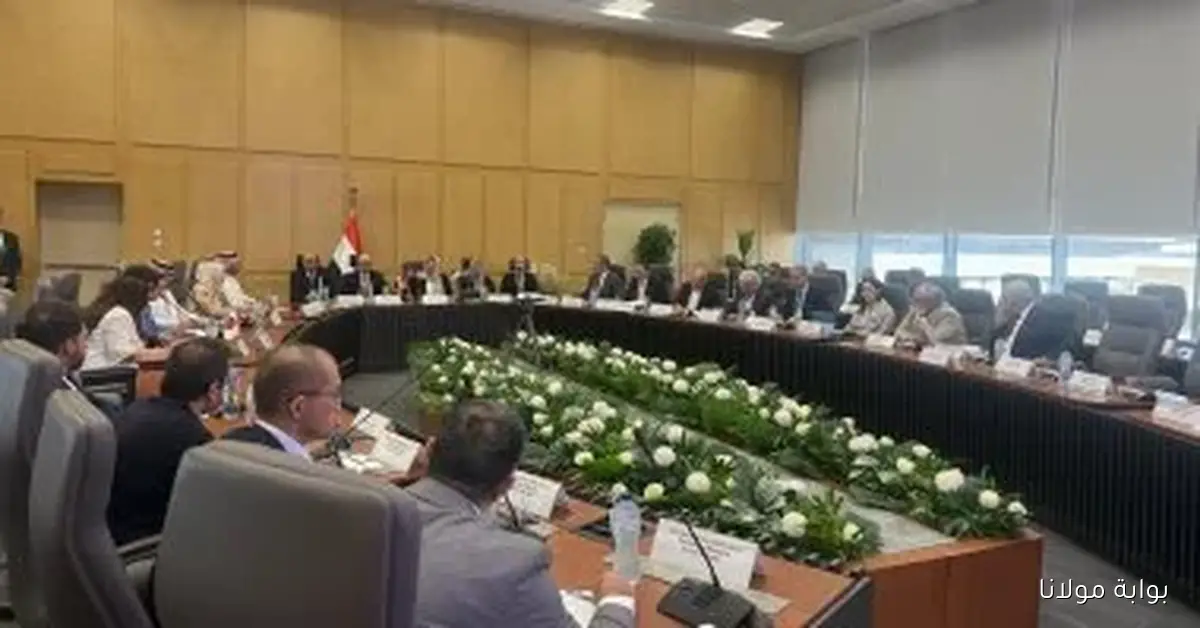 جلسة استماع حول إجراءات حماية واردات مسطحات الصلب من قبل قطاع المعالجات التجارية بوزارة الاستثمار