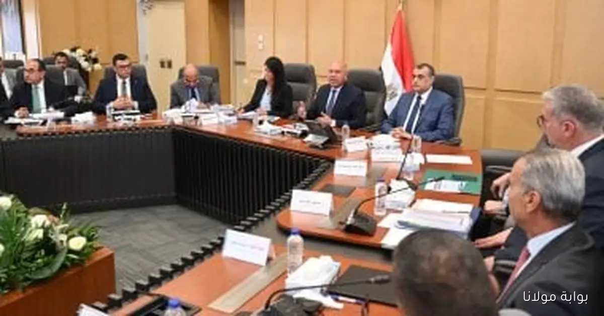 28 قطاعًا جديدًا تفتح أبواب الاستثمار وفقًا لوزارة الصناعة