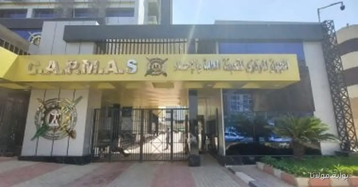 893 موظفاً أجنبياً يختارون تجديد عقودهم في القطاع الحكومي لعام 2024