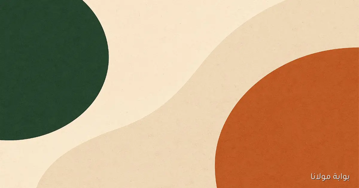 افتتاح مصانع جديدة للأوتوبيسات في مدينة الصالحية بحضور الفريق كامل الوزير