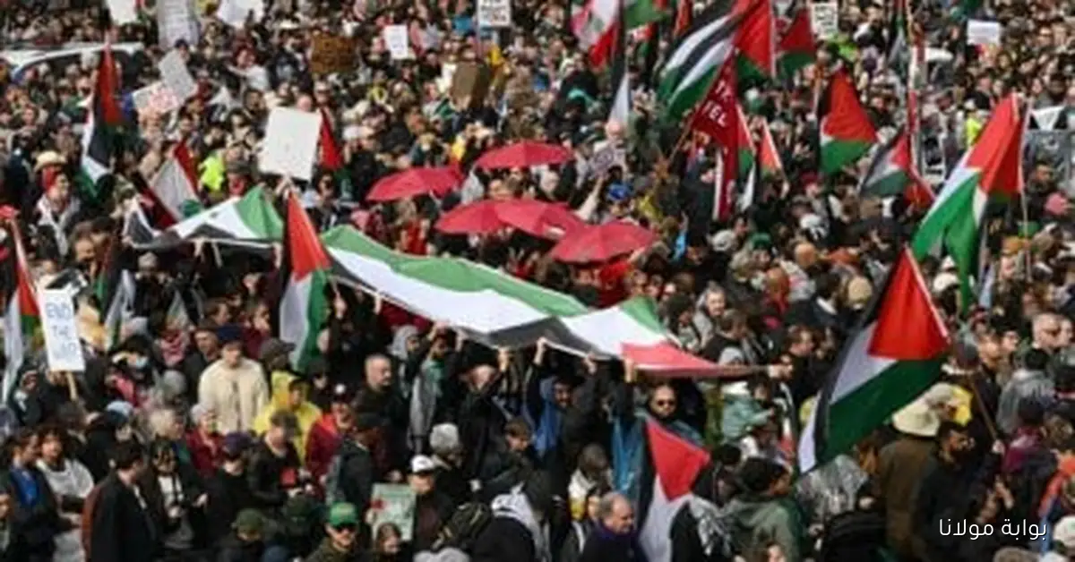آلاف المتظاهرين يشاركون في مسيرة دعم فلسطين في أكبر مدن نيوزيلندا