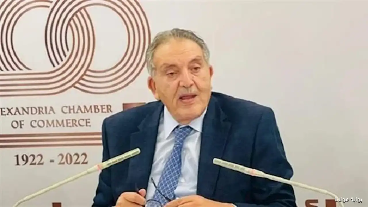 أحمد الوكيل: مصر وتونس تعملان على تعزيز تحالفات استراتيجية