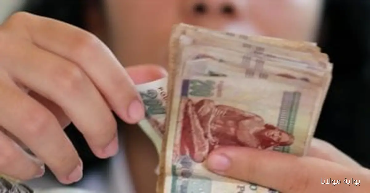 أرباح مذهلة من البورصة: توزيعات نقدية تتخطى 54 مليار جنيه في 9 أشهر