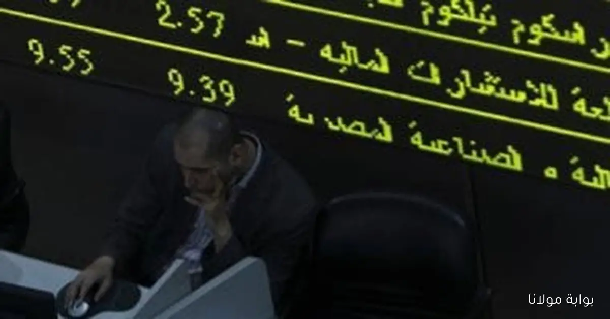 أرقام وهيرميس يتصدران المشهد بينما ثاندر ومباشر يتنافسان في سباق شركات السمسرة