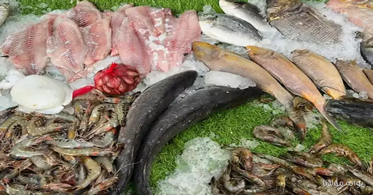 كيلو البلطي بكام .. أسعار الأسماك والأكلات البحرية في سوق العبور اليوم