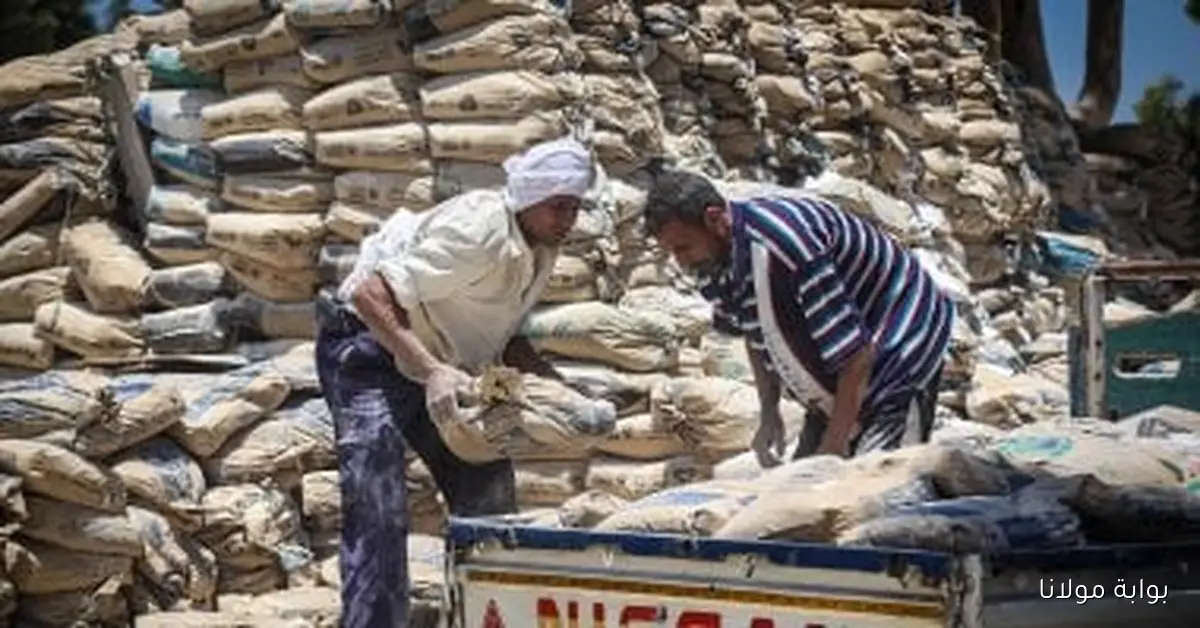 أسعار الأسمنت اليوم الأحد 21 سبتمبر 2025 وما تحتاج معرفته عن سعر الطن