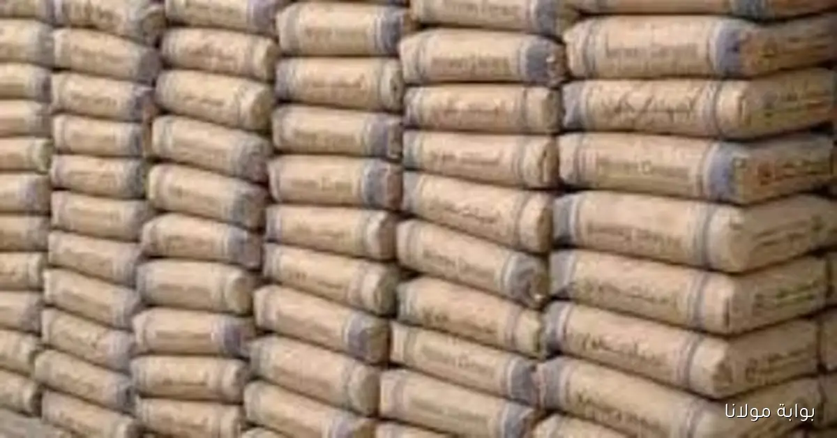 أسعار الأسمنت اليوم الأربعاء 24 سبتمبر 2025 وكيفية التأثير على السوق المحلي