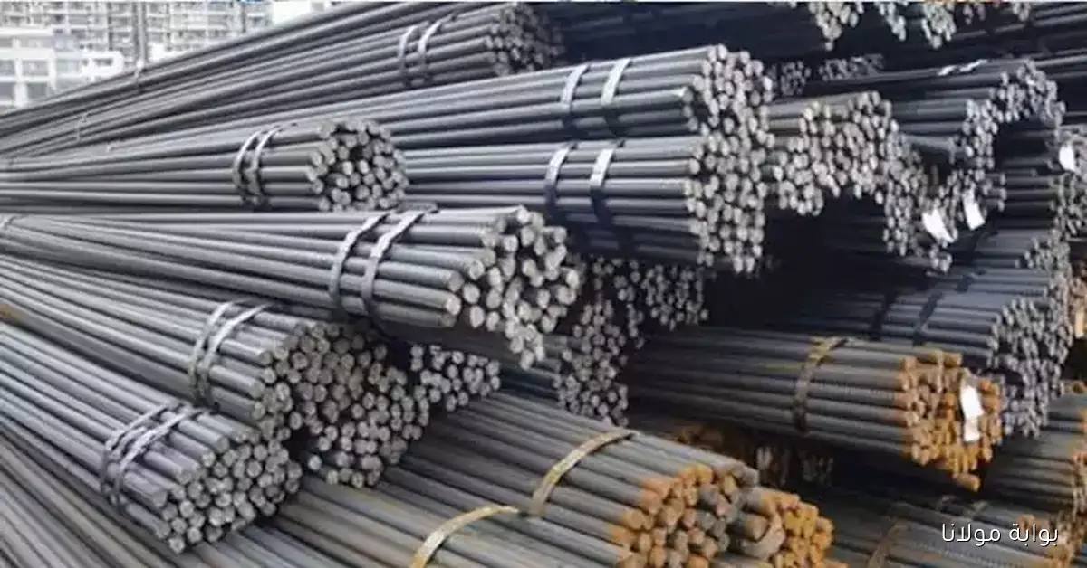 مواد البناء بكام.. ارتفاع أسعار الحديد وانخفاض الأسمنت اليوم في الأسواق