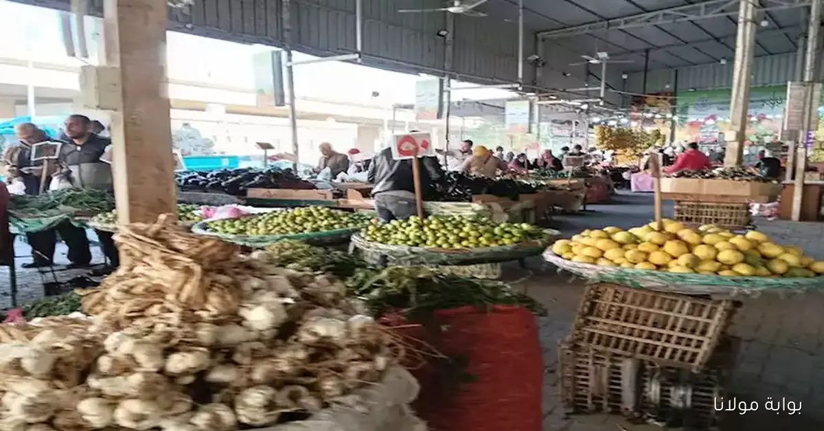 التفاح بكام .. أسعار الخضروات والفاكهة في سوق العبور اليوم إعرف سعر البطاطس والطماطم