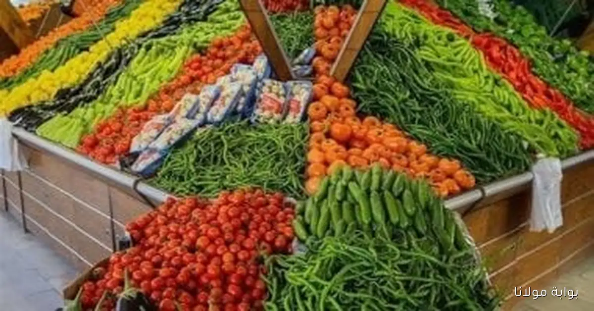 بكام الطماطم.. أسعار الخضروات والفواكه اليوم الثلاثاء 23 سبتمبر 2025 في كفر الشيخ