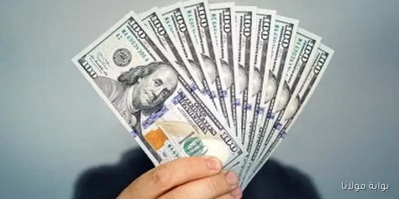 أسعار الدولار أمام الجنيه المصري في ختام تعاملات اليوم الأحد 7 سبتمبر 2025
