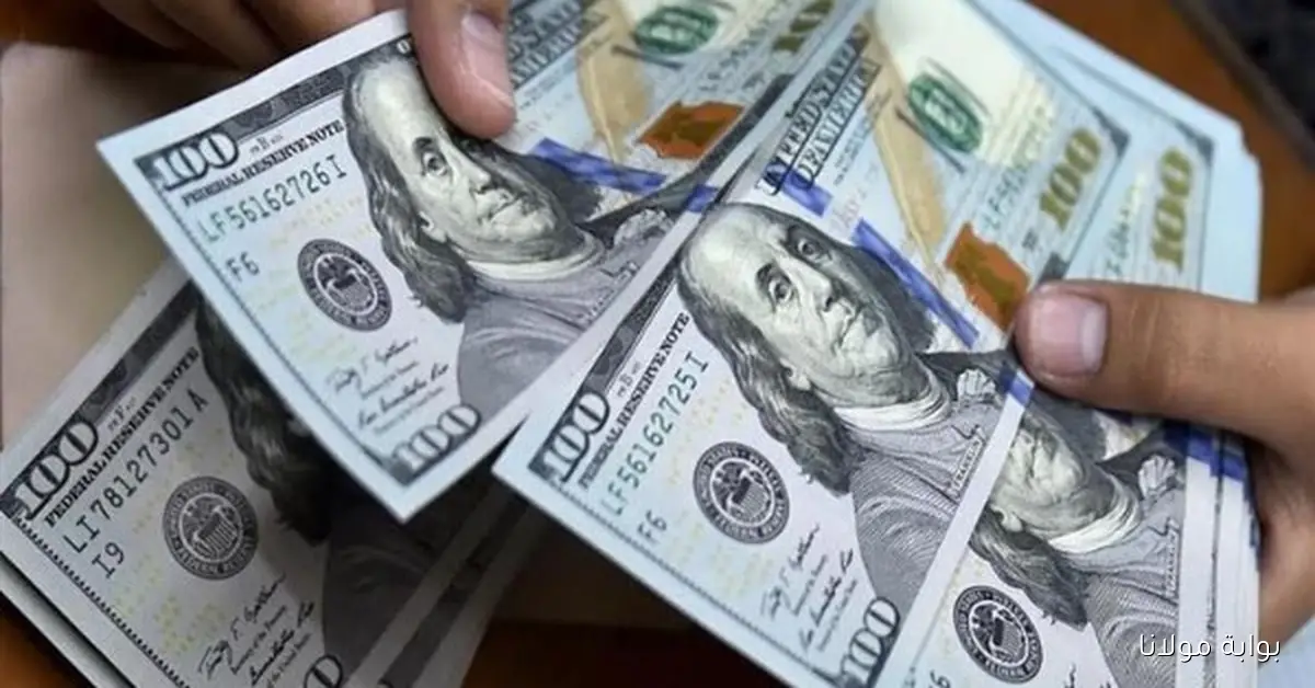 أسعار الدولار الحالية في مصر