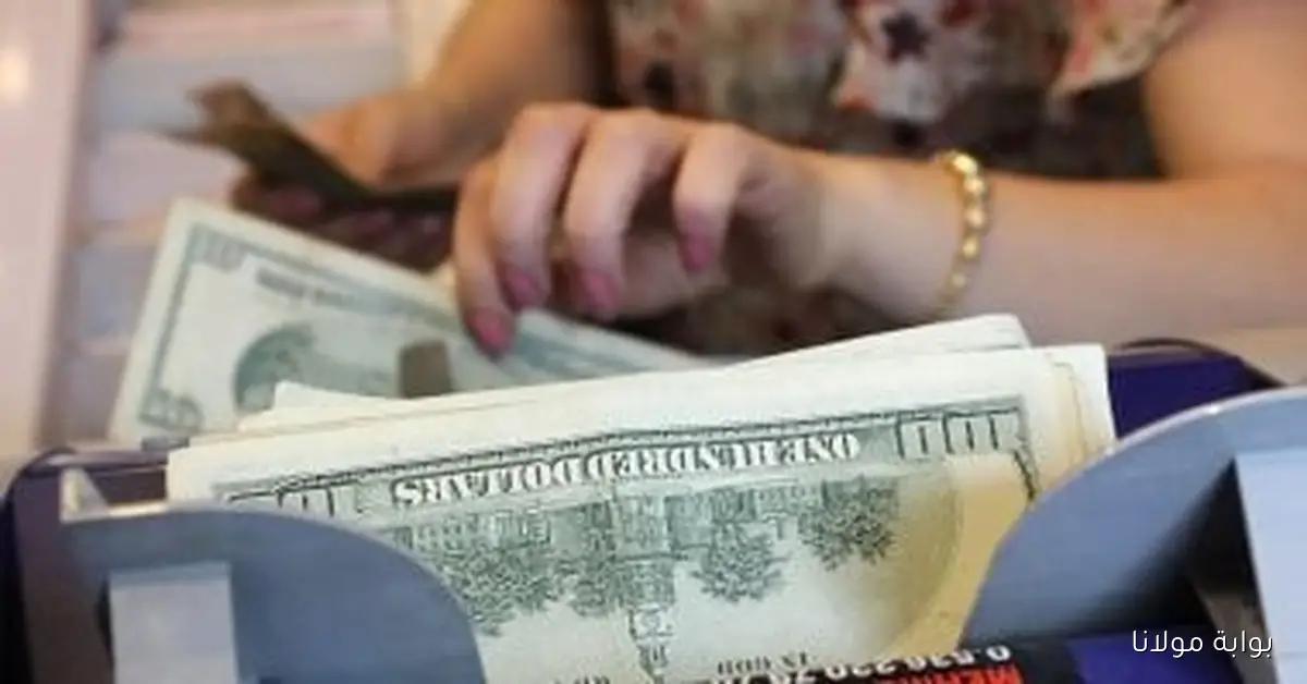 أسعار الدولار والعملات الأجنبية اليوم الثلاثاء 23 سبتمبر 2025 في ظل التغيرات المستمرة