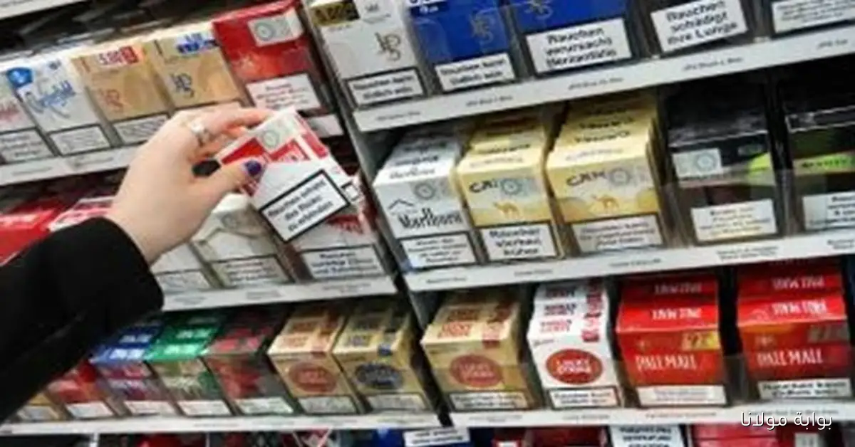 بكام كليوباترا .. أسعار السجائر اليوم الثلاثاء 30 سبتمبر 2025 في مصر