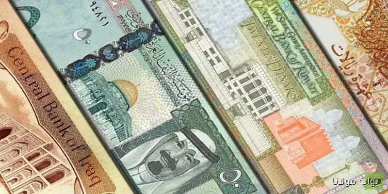 الريال القطري بكام .. الأسعار العملات العربية في مصر حسب آخر تحديث الخميس 11 سبتمبر