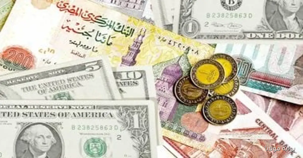 أسعار العملات اليوم السبت 13 سبتمبر 2025: الدولار يسجل 48.15 جنيه للشراء