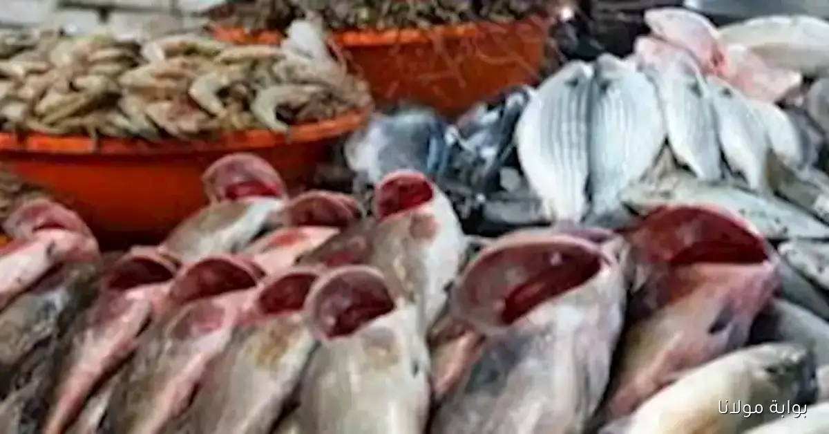 أسعار الكابوريا والأسماك في سوق العبور تصل إلى 210 جنيهات للكيلو