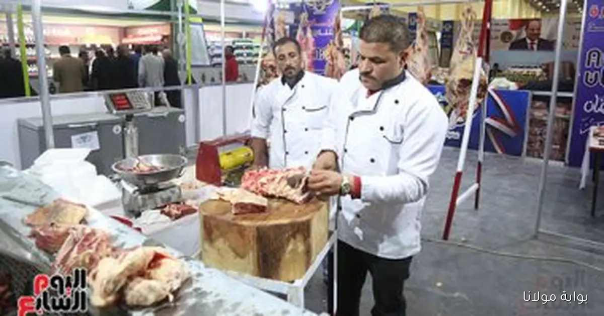 أسعار اللحوم والدواجن في معرض أهلا مدارس 2025 بالجيزة تعرف على التفاصيل