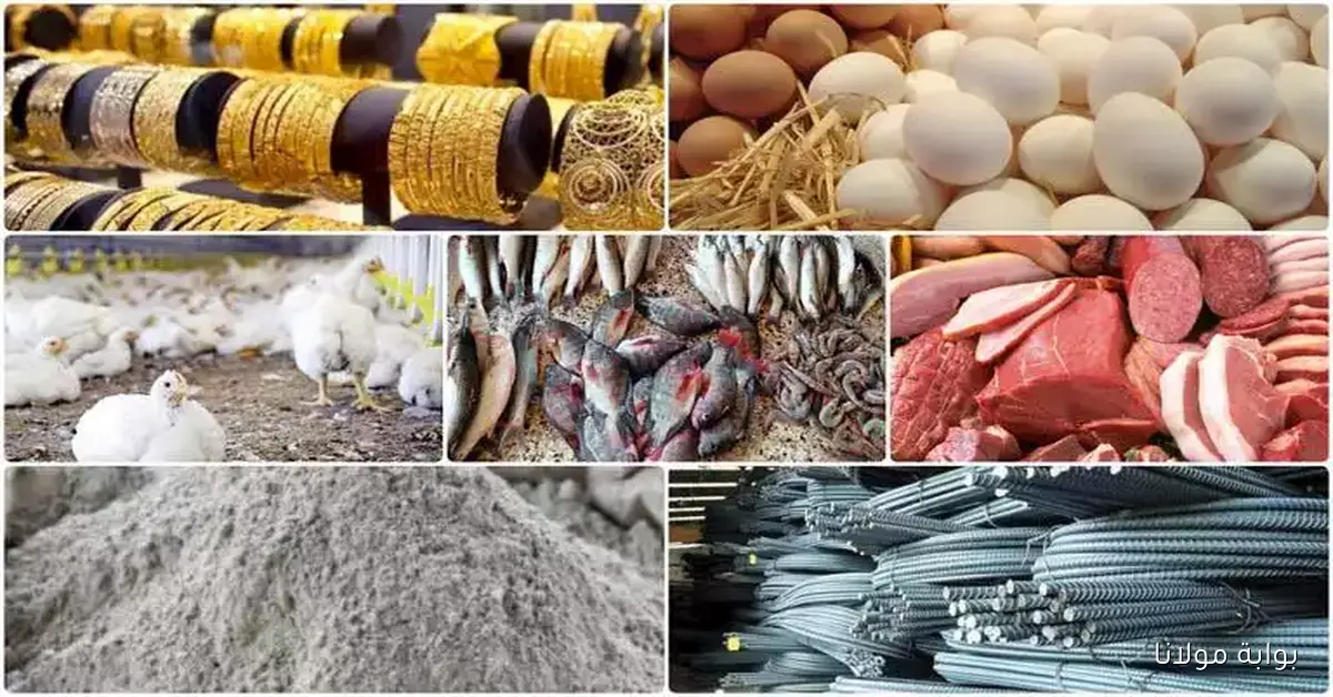 أسعار اليوم تشهد زيادة في الزيت والأسمنت والذهب
