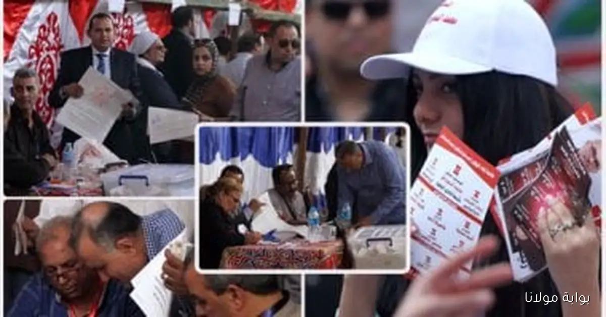 أعضاء نادي الزهور يشاركون بآرائهم حول لائحة النظام الأساسي: أبرز اللحظات في الصور